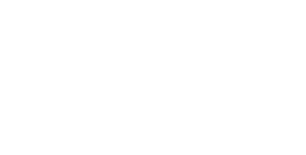 MS LOGO